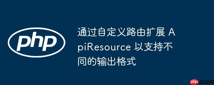 通过自定义路由扩展 ApiResource 以支持不同的输出格式-小浪学习网