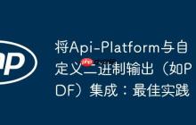 将Api-Platform与自定义二进制输出(如PDF)集成:最佳实践