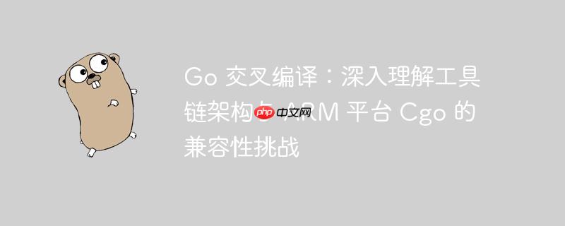Go 交叉编译:深入理解工具链架构与 ARM 平台 Cgo 的兼容性挑战