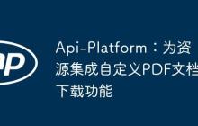 Api-Platform:为资源集成自定义PDF文档下载功能
