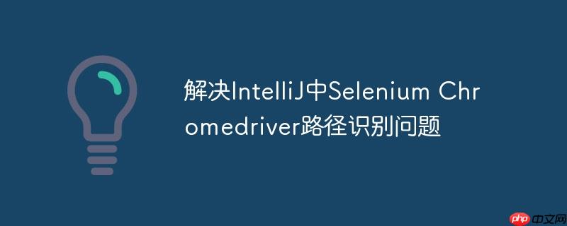 解决IntelliJ中Selenium Chromedriver路径识别问题-小浪学习网