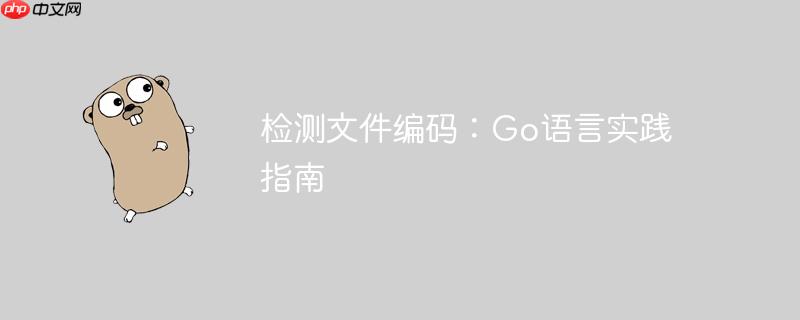 检测文件编码:go语言实践指南