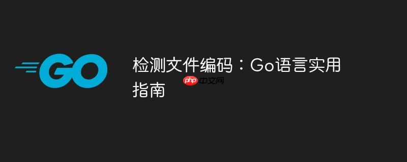 检测文件编码:go语言实用指南