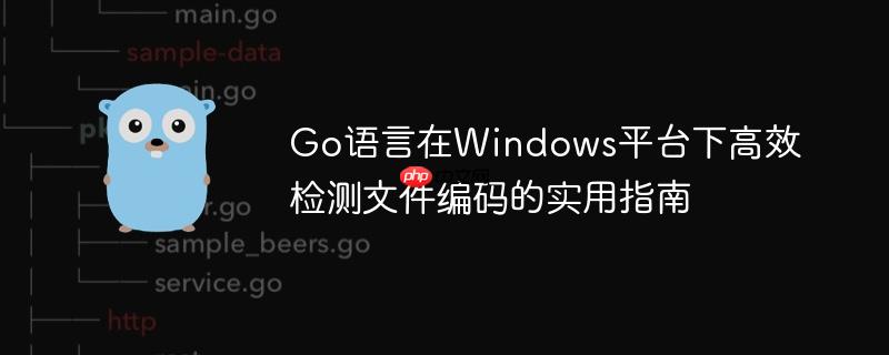 Go语言在Windows平台下高效检测文件编码的实用指南-小浪学习网