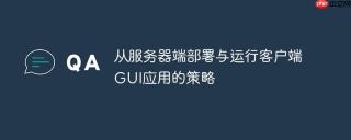 从服务器端部署与运行客户端GUI应用的策略
