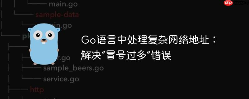 Go语言中处理复杂网络地址：解决“冒号过多”错误-小浪学习网