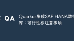 Quarkus Integration of SAP HANA Database: Feasibility and Precautions