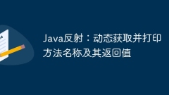 Java reflection: dynamically obtain and print method name and return value