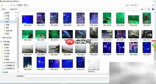 用Movie Maker制作小电影