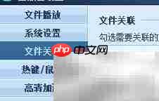 Win版QQ影音音频关联教程