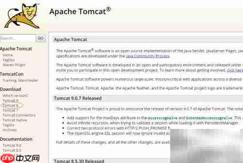 Tomcat下载方法指南