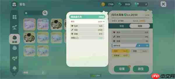 米姆米姆哈闪闪宠物提升属性一览