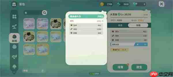 米姆米姆哈闪闪宠物提升属性一览