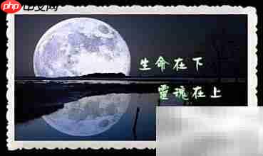 爱读书让女人更优雅智慧