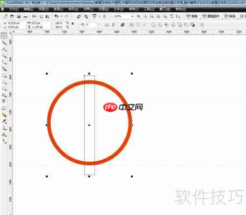 CDR绘制矢量花纹边框技巧