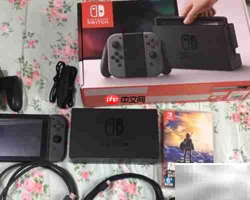 Switch副号转主号教程