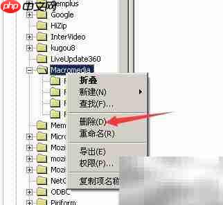 如何降低Flash版本