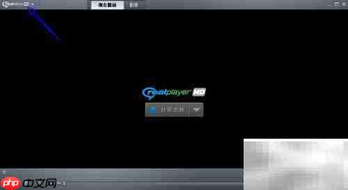 realplayer关闭cookies方法