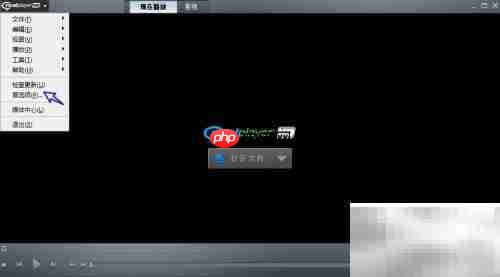 RealPlayer关闭Cookies方法