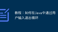 Tutorial: How to exit loop through user input in Java