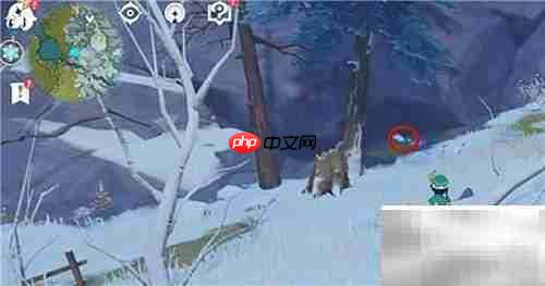 原神雪狐刷新点汇总