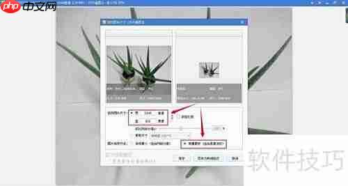 如何用看图软件调整图片大小