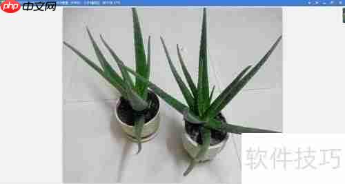 如何用看图软件调整图片大小