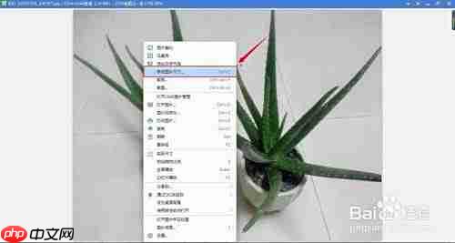 如何用看图软件调整图片大小