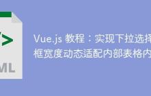 Vue.js 教程：实现下拉选择框宽度动态适配内部表格内容