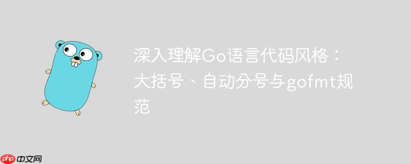 深入理解Go语言代码风格：大括号、自动分号与gofmt规范-小浪学习网