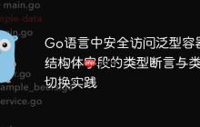 Go语言中安全访问泛型容器内结构体字段的类型断言与类型切换实践