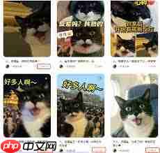 如何用即梦ai制作猫狗短视频