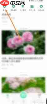 形色app如何发布鉴定