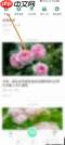 形色app如何发布鉴定