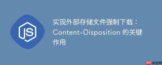 实现外部存储文件强制下载：Content-Disposition 的关键作用