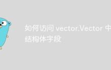 如何访问 vector.Vector 中结构体字段