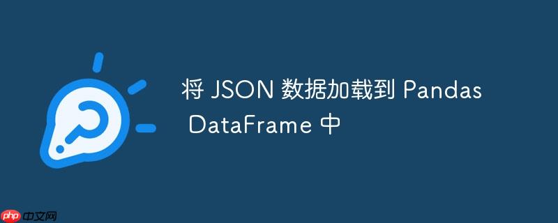 将 JSON 数据加载到 Pandas DataFrame 中