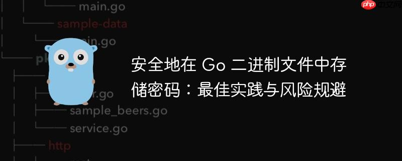 安全地在 go 二进制文件中存储密码：最佳实践与风险规避