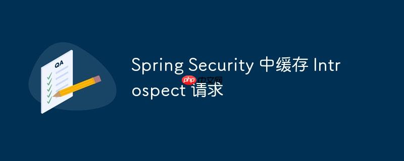 Spring Security 中缓存 Introspect 请求-小浪学习网