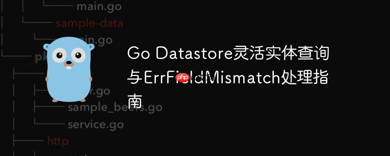 Go Datastore灵活实体查询与ErrFieldMismatch处理指南
