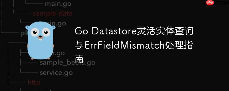 Go Datastore灵活实体查询与ErrFieldMismatch处理指南-小浪学习网