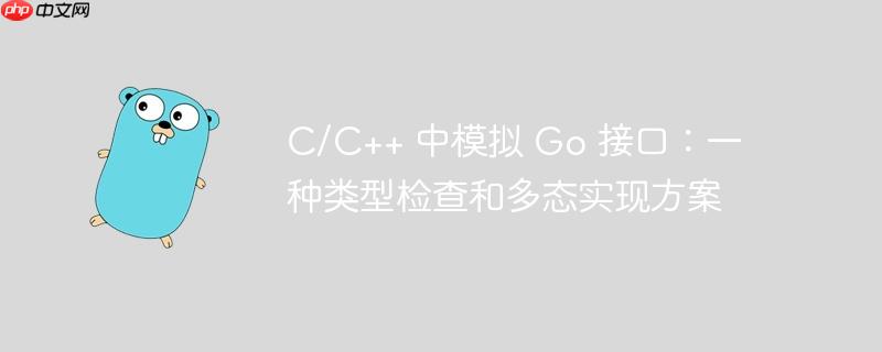 c/c++ 中模拟 go 接口：一种类型检查和多态实现方案