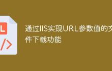 通过IIS实现URL参数值的文件下载功能