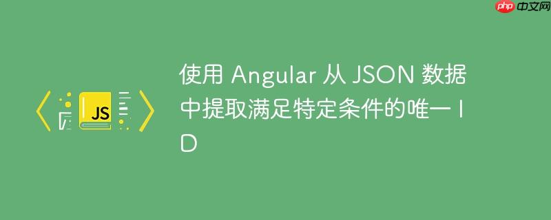 使用 Angular 从 JSON 数据中提取满足特定条件的唯一 ID-小浪学习网