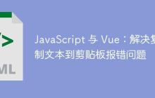 JavaScript 与 Vue：解决复制文本到剪贴板报错问题