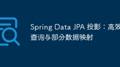 Spring Data JPA projection: efficient query and partial data mapping