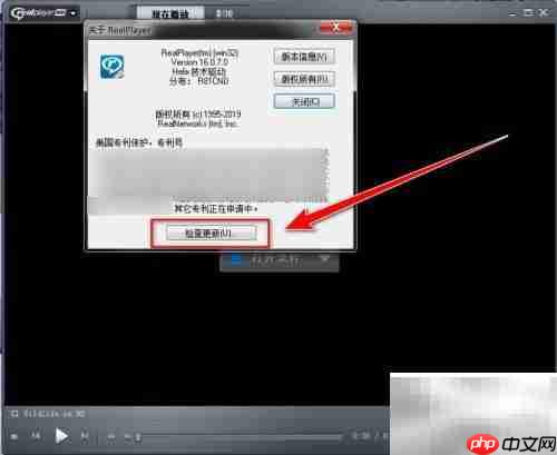 RealPlayer版本检查方法