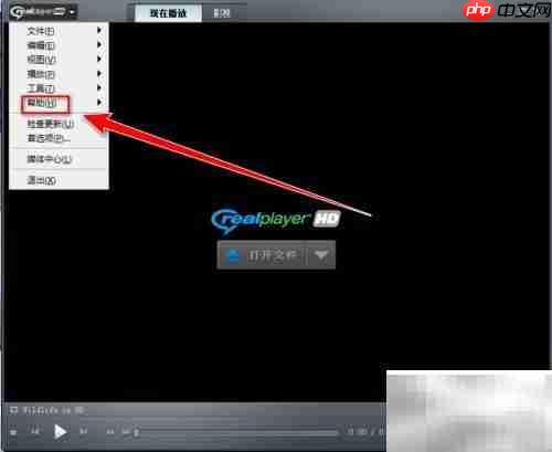 RealPlayer版本检查方法