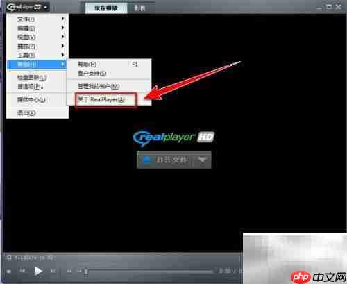 RealPlayer版本检查方法