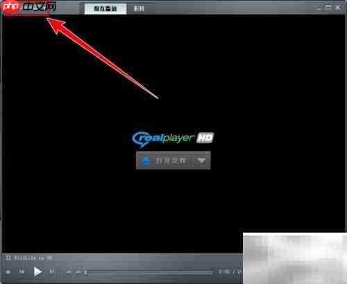 realplayer版本检查方法